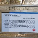 서운 북산리 석조여래입상 Daum카페