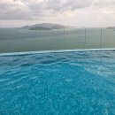 인형의 거리(원숭이 | 베트남 여행기 원숭이섬 투어(나트랑 2일차)