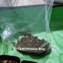 새싹2호농장 이미지