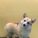 구억리 경로당 이미지