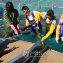 국립수산과학원 양양내수면연구소 이미지