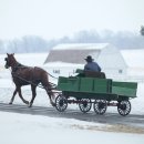 수레와바퀴 이미지