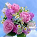 탐정행정사사무소 이미지