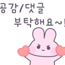 멍앤미 이미지