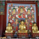 봉은사목삼불상(석가불,아미타불,약사불) | 서울시 유형문화재 제226호 - 봉은사 목 삼불상