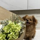 대문자 P 예비신부의 결혼 준비-#3 친구 먼저 보내기(부산 해운대 파크하얏트 웨딩 하객 후기)