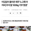 어김없이 돌아온 제주 ‘노고록 아저씨’, 추석 쌀 1000kg 기부 ‘훈훈’ 이미지