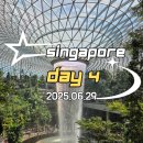초코엘 | [🇸🇬🆂🅶] DAY4 | 쥬얼창이, 싱가포르 기념품 폭풍 쇼핑, SQ606