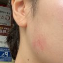 유달리의원 이미지