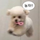 유탑유블레스 | [제주도 호텔 추천] 제주 유탑 유블레스 호텔 후기