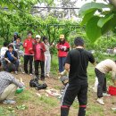 천사민박 이미지