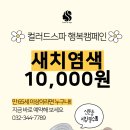컬러드스파 이미지