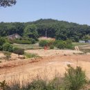 석문면사무소 이미지