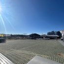 부자칼국수 | [부자칼국수] 강릉 초당동 칼국수 맛집 후기