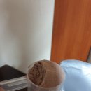 프로틴팩토리