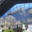 플로라 거창 이미지