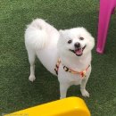 프로방