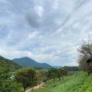 반구정습지 이미지