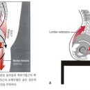 올리브한의원 이미지