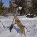 하이앤드PC 이미지