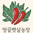 땅끝햇살고추 이미지