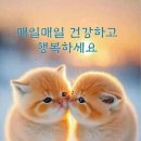 신희준 이미지