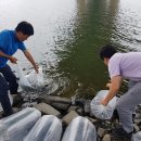 고령수산 이미지