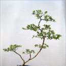 관수경로당 네이버블로그