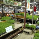 대정오일시장 이미지