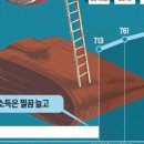 리버스타워