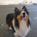 조이풀데이 광명역점 이미지