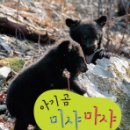 마샤 이미지