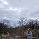 Evergreen Brick Works Park &amp; Farmers Market 이미지