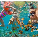 오션투어 이미지