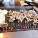 토담토담 이미지