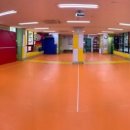 국가대표 영웅 태권도 이미지