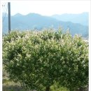 등불농장 이미지