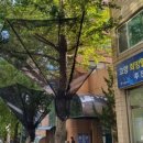 고양시청로 이미지