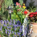 궁내동행정복지센터 이미지