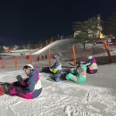 Tokyo(도쿄)감자탕 | 2025년 1월의 일상 (스키장 그리고 도쿄)