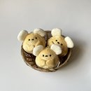 오리만만세 | [팝업] 더현대 원모어백 기념상점 팝업스토어 내돈내산 후기 / 잭코백(jackobag), 수집가 무무