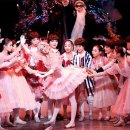 사파동254 이미지