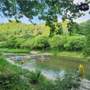비발디 캠핑파크 본점 (2025 새롭게 바뀐)