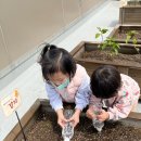 텃밭 - 팻말을 꽂아요 🌱 이미지