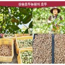 상송농원 이미지