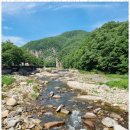 단양채훤민박 | 단양펜션 자연 속에서의 완벽한 휴식, 사인암 펜션 후기