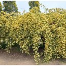 고려동 회관 이미지