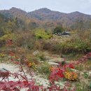 구적골농원 이미지