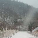 대교초교 Daum카페