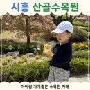 수목원 | 시흥 산골수목원｜아이랑 가기 좋은 수목원 카페 후기